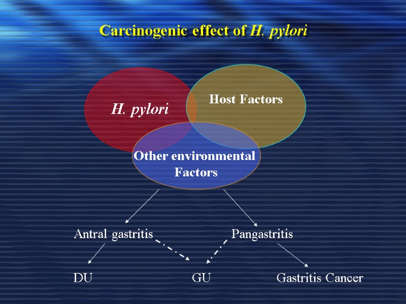 Carcinogenic effect of H. pylori    H. pylori  Host Factors 